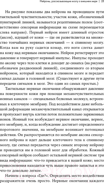 Изображение товара Книга Альпина Как мы видим? Нейробиология зрительного восприятия (Маслэнд Р.)