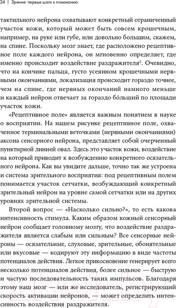 Изображение товара Книга Альпина Как мы видим? Нейробиология зрительного восприятия (Маслэнд Р.)
