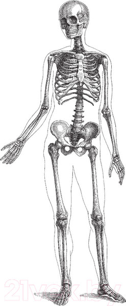 Изображение товара Книга АСТ Модицина: Encyclopedia Pathologica (Жуков Н.Э.)