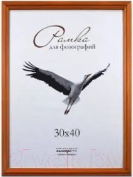 Изображение товара Рамка ПАЛИТРА Д17К 10x15