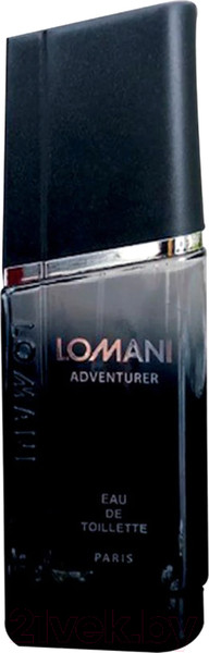 Изображение товара Туалетная вода Lomani Adventurer  (100мл)