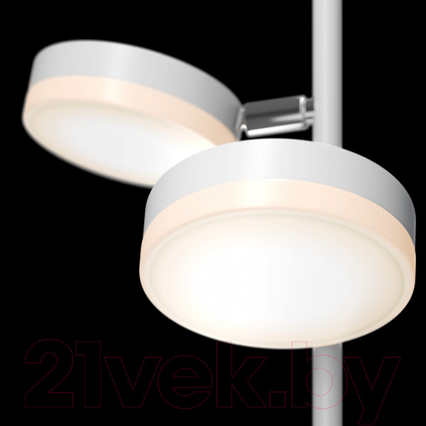 Изображение товара Торшер Maytoni Fad MOD070FL-L12W3K