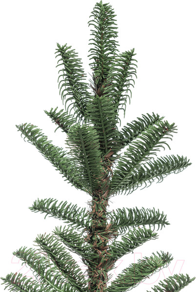 Изображение товара Ель искусственная Winter Time 215 / MKB07-941T