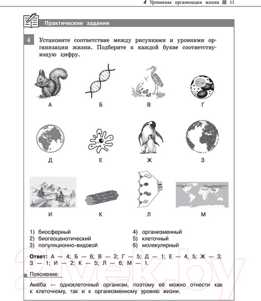 Изображение товара Учебное пособие Эксмо Биология (Никитинская Т.В.)