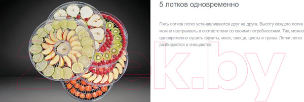 Изображение товара Сушилка для овощей и фруктов Gorenje FDK24DW