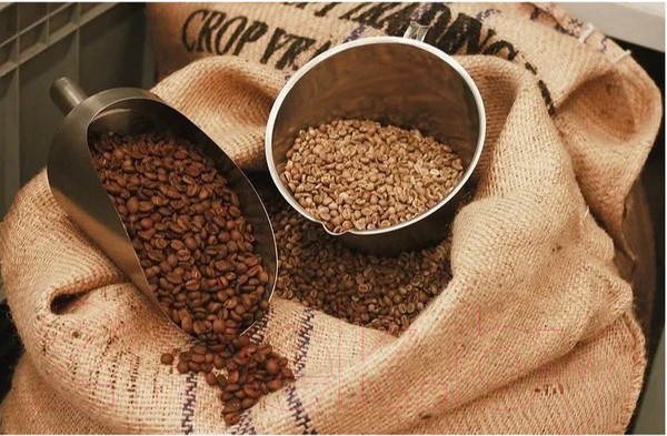 Изображение товара Кофе в зернах Coffee Factory Доницетти (500г)