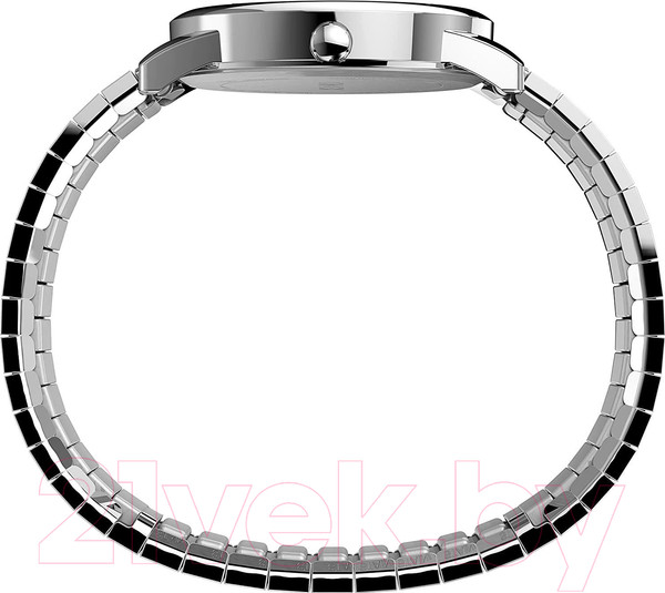 Изображение товара Часы наручные унисекс Timex TW2V05500