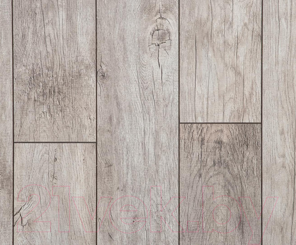 Ламинат Kastamonu Floorpan Sunfloor Ясень вирджиния (SF0051)