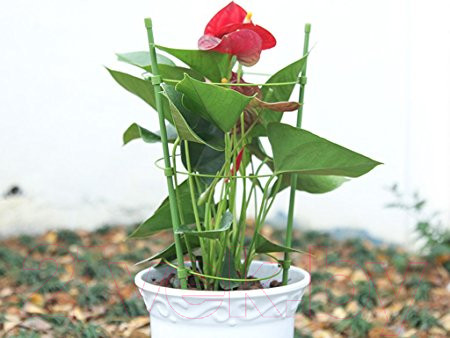 Изображение товара Опора для растений BOTANICA h54, 3 кольца