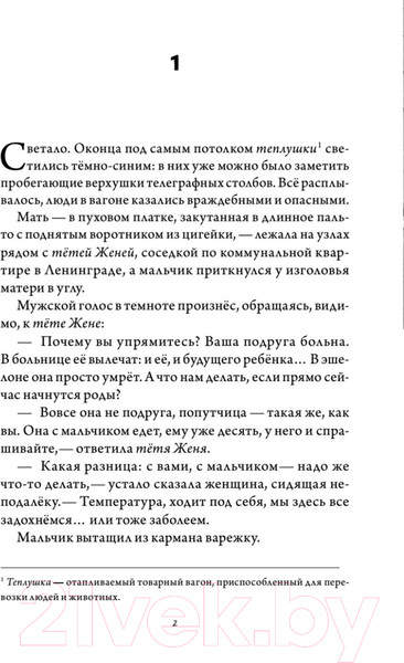 Изображение товара Книга Питер Мужчина в доме. Ленинградская повесть (Кругосветов А.)