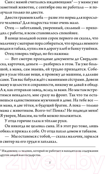 Изображение товара Книга Питер Мужчина в доме. Ленинградская повесть (Кругосветов А.)