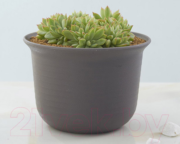 Изображение товара Вазон BOTANICA Cycle (27x19см, серый/коричневый)