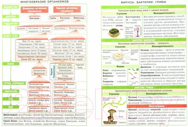 Изображение товара Учебное пособие Айрис-пресс Справочник в таблицах. Биология. 7-11 класс