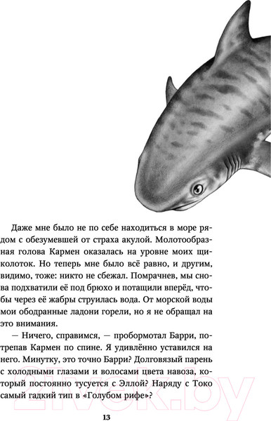 Изображение товара Художественная книга Эксмо Тайна кита-оборотня (Брандис К.)