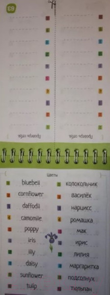 Изображение товара Развивающая книга Айрис-пресс Умный блокнот. English Природа. Уровень 1