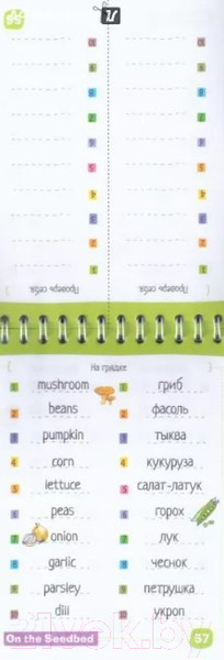 Изображение товара Развивающая книга Айрис-пресс Умный блокнот. English Природа. Уровень 1