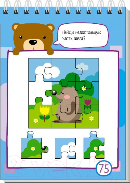 Изображение товара Развивающая книга Айрис-пресс Умный блокнот. 80 задачек на смекалку 4+