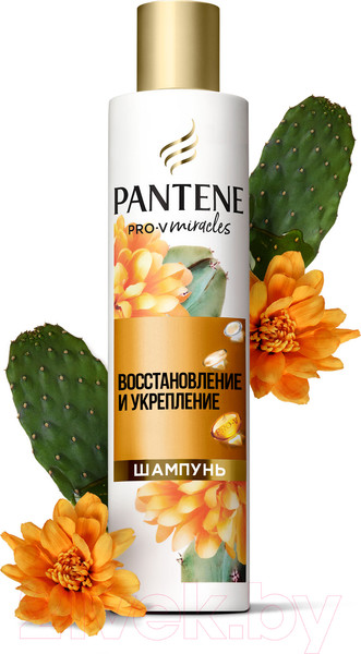 Изображение товара Шампунь для волос PANTENE Pro-V Miracles Восстановление и укрепление (250мл)