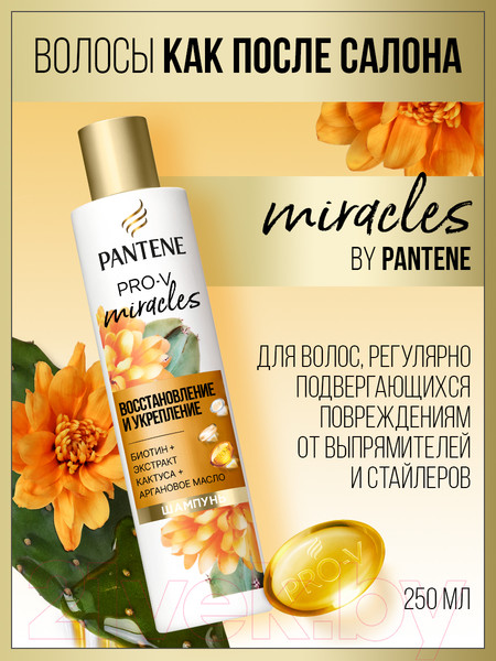 Изображение товара Шампунь для волос PANTENE Pro-V Miracles Восстановление и укрепление (250мл)