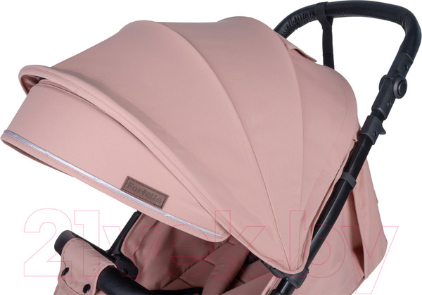 Изображение товара Детская прогулочная коляска Farfello Bino Angel Plus / BP (пудровый)