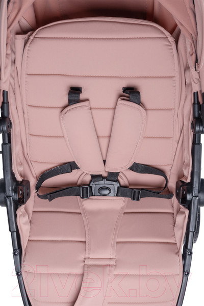 Изображение товара Детская прогулочная коляска Farfello Bino Angel Plus / BP (пудровый)