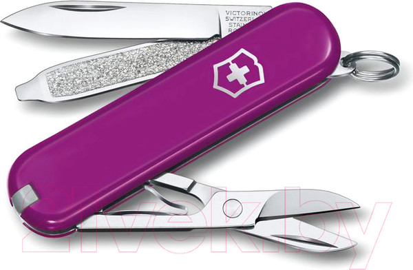 Изображение товара Нож складной Victorinox Tasty Grape 0.6223.52G