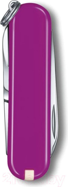 Изображение товара Нож складной Victorinox Tasty Grape 0.6223.52G