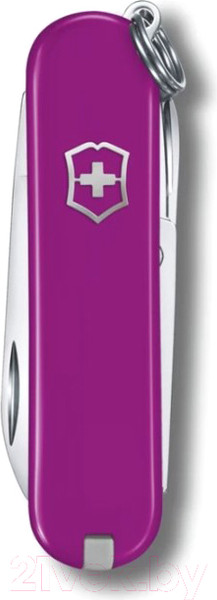 Изображение товара Нож складной Victorinox Tasty Grape 0.6223.52G