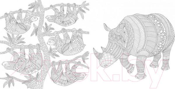 Изображение товара Раскраска-антистресс КоЛибри Божественные создания. Золотая коллекция (Маротта М.)