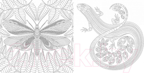 Изображение товара Раскраска-антистресс КоЛибри Божественные создания. Золотая коллекция (Маротта М.)