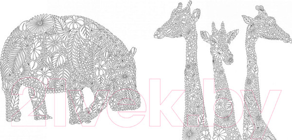 Изображение товара Раскраска-антистресс КоЛибри Божественные создания. Золотая коллекция (Маротта М.)