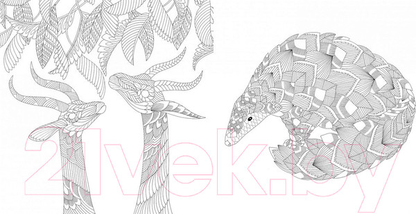 Изображение товара Раскраска-антистресс КоЛибри Божественные создания. Золотая коллекция (Маротта М.)