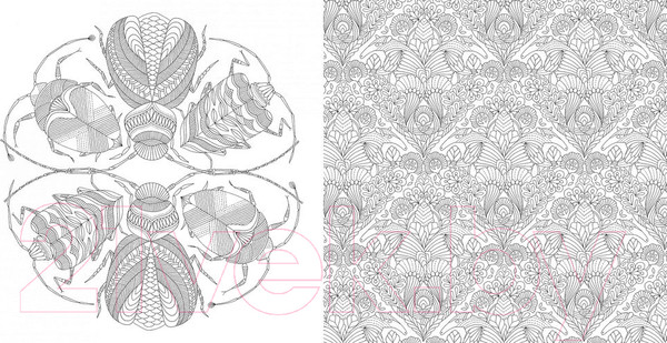 Изображение товара Раскраска-антистресс КоЛибри Божественные создания. Золотая коллекция (Маротта М.)