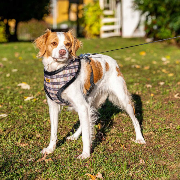 Изображение товара Шлея-жилетка для животных Ferplast Nikita Fur / 75468943 (XS, клетка с мехом)