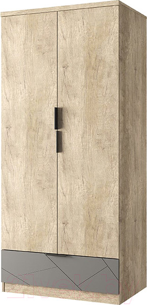 Изображение товара Шкаф Anrex Kaylas 2DG1S (дуб каньон/силк шитаке)