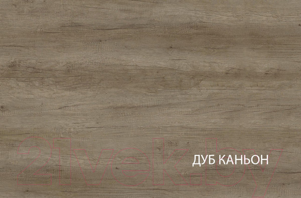 Изображение товара Шкаф Anrex Kaylas 2DG1S (дуб каньон/силк шитаке)