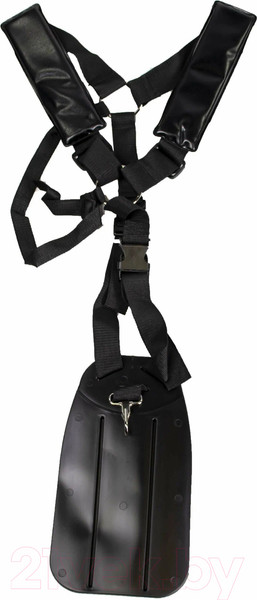 Изображение товара Триммер бензиновый Champion T252