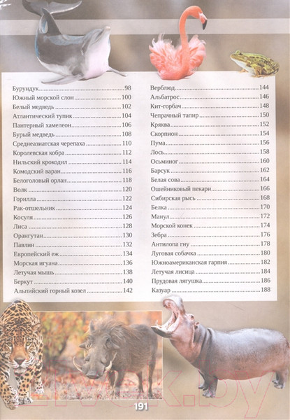 Изображение товара Энциклопедия АСТ Животные. 101 видео и 1001 фотография (Вайткене Л.Д.)