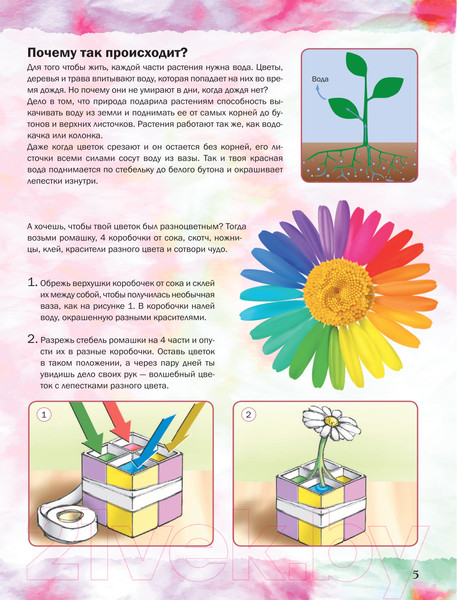 Изображение товара Энциклопедия АСТ Эксперименты, опыты и наблюдения 4D с дополненной реальностью