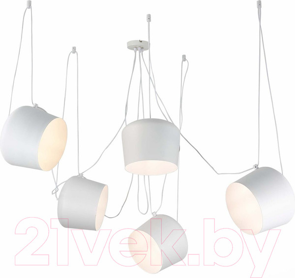 Изображение товара Люстра Evoluce Trieste SLE120653-05