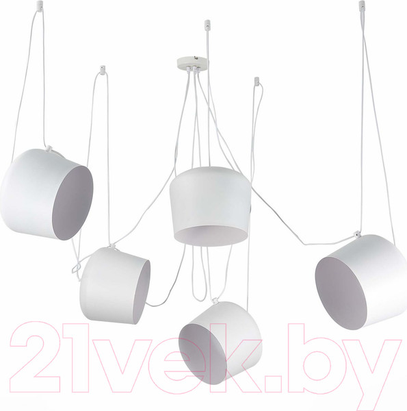 Изображение товара Люстра Evoluce Trieste SLE120653-05