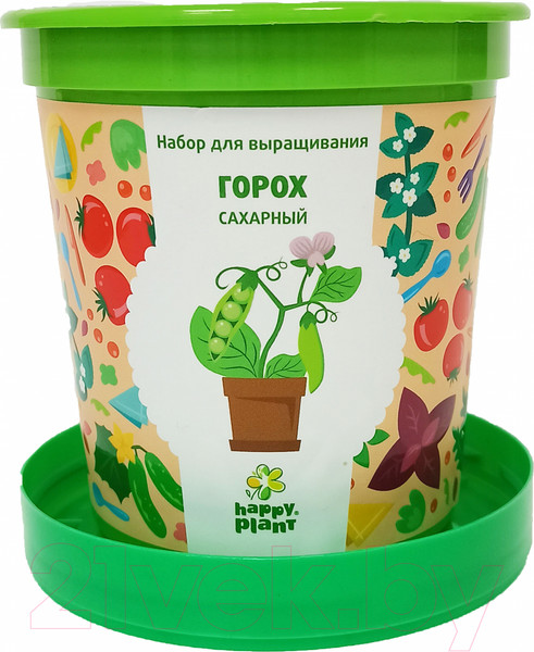 Изображение товара Набор для выращивания растений Happy Plant Горох сахарный / hpn-35