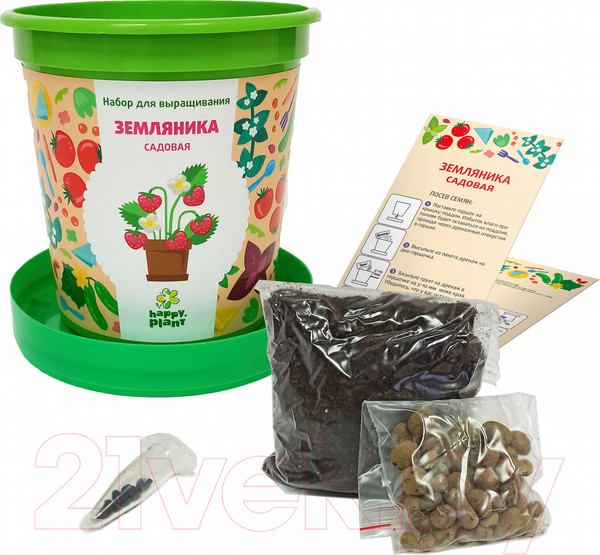 Изображение товара Набор для выращивания растений Happy Plant Земляника садовая / hpn-26