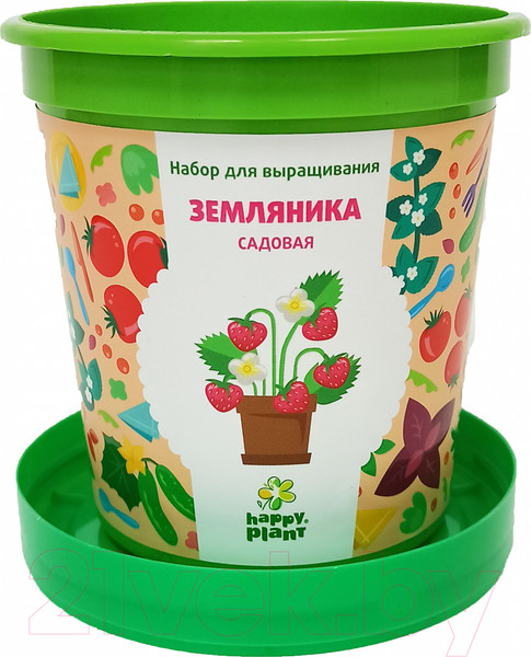 Изображение товара Набор для выращивания растений Happy Plant Земляника садовая / hpn-26
