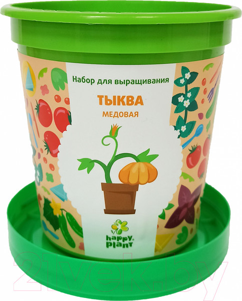 Изображение товара Набор для выращивания растений Happy Plant Тыква медовая / hpn-34