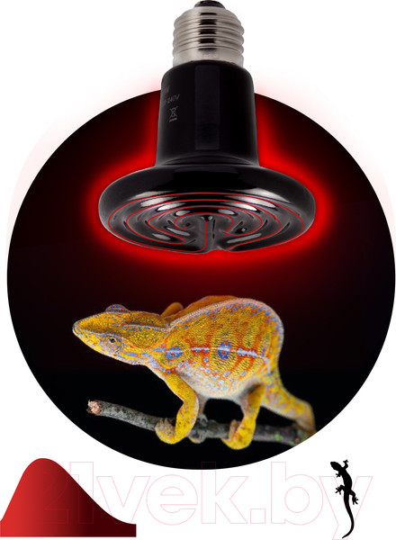 Изображение товара Лампа для террариума ЭРА FITO-150W-НQ / Б0052716