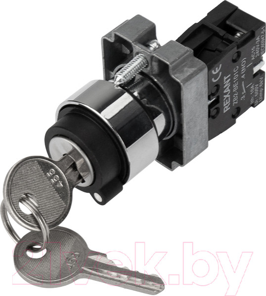 Изображение товара Переключатель Rexant BD21 2P 36-5552