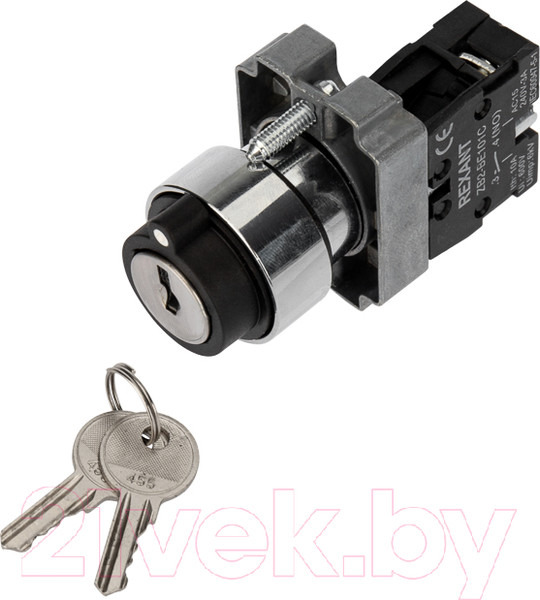 Изображение товара Переключатель Rexant BD21 2P 36-5552