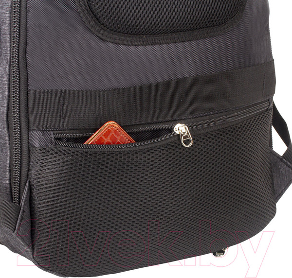 Изображение товара Рюкзак Brauberg Bisiness / 229873