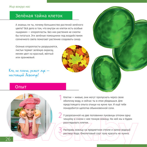 Изображение товара Микроскоп оптический Levenhuk Discovery Nano Terra с книгой / 77962